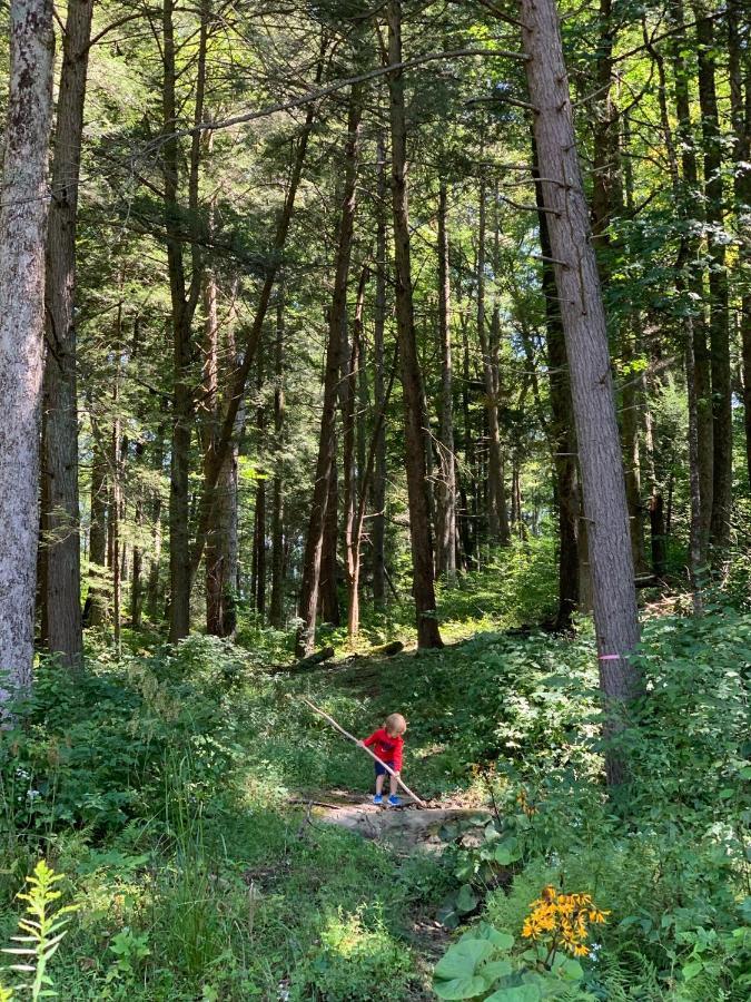 Beautiful Cabin On 83 Acres Near New River Gorge National Park Hico エクステリア 写真