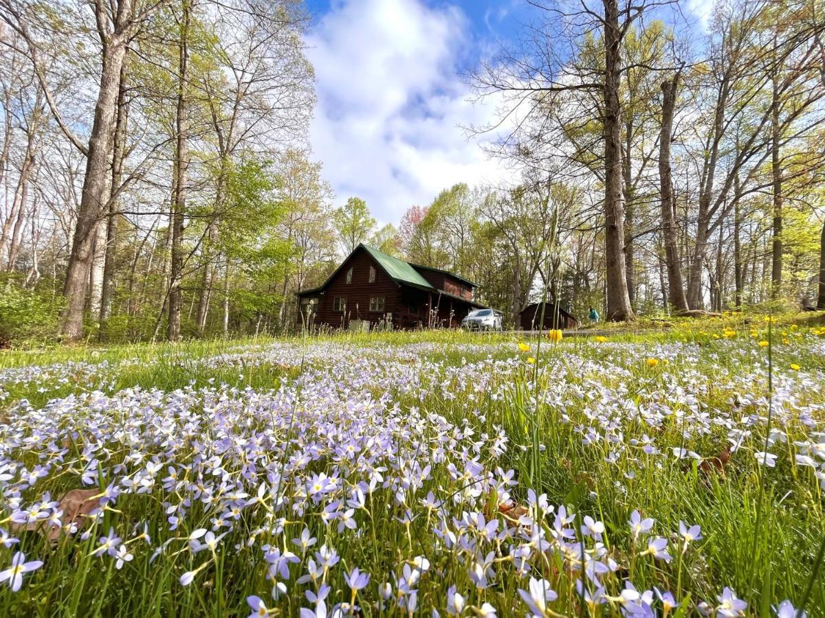 Beautiful Cabin On 83 Acres Near New River Gorge National Park Hico エクステリア 写真