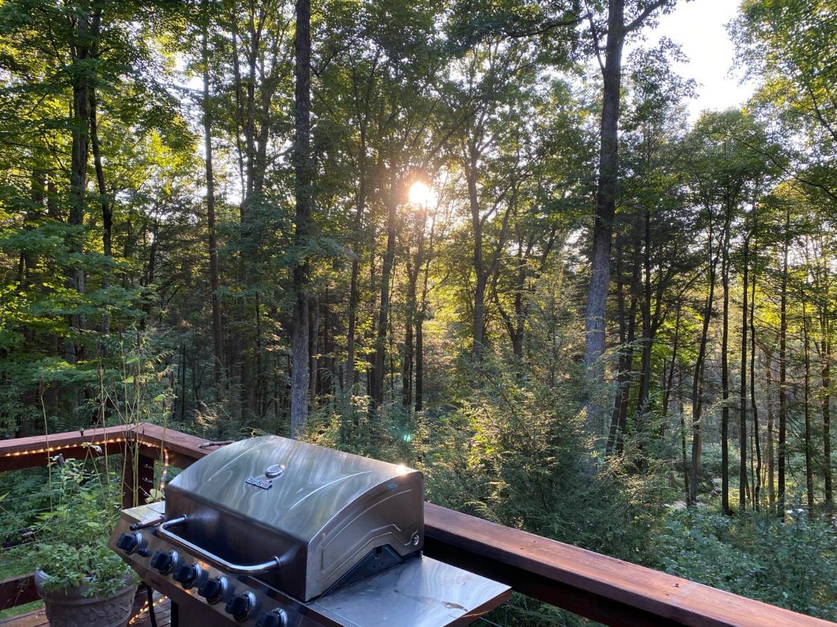 Beautiful Cabin On 83 Acres Near New River Gorge National Park Hico エクステリア 写真